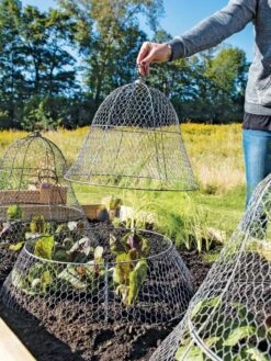 Chicken Wire Cloche With Extension -Optimal Garden Care 8600116 0604 3 4
