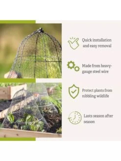 Chicken Wire Cloche With Extension -Optimal Garden Care 8600116 3