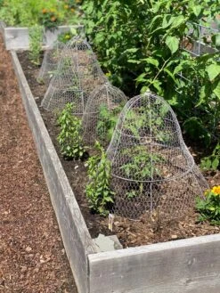 Chicken Wire Cloche With Extension -Optimal Garden Care 8600116 4930 tif