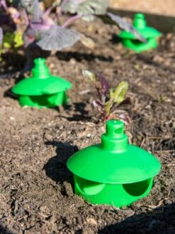 Slug And Snail Traps, Set Of 3 -Optimal Garden Care 8600120 1788