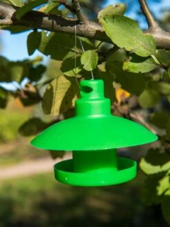 Slug And Snail Traps, Set Of 3 -Optimal Garden Care 8600120 1792