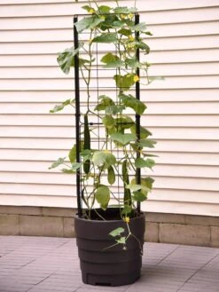 Gardener’s Victory Self-Watering Planter Garden With Vine Trellis -Optimal Garden Care 8600177 9876 tif 1