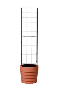 Gardener’s Victory Self-Watering Planter With Vine Trellis -Optimal Garden Care 8600178 7000 tif