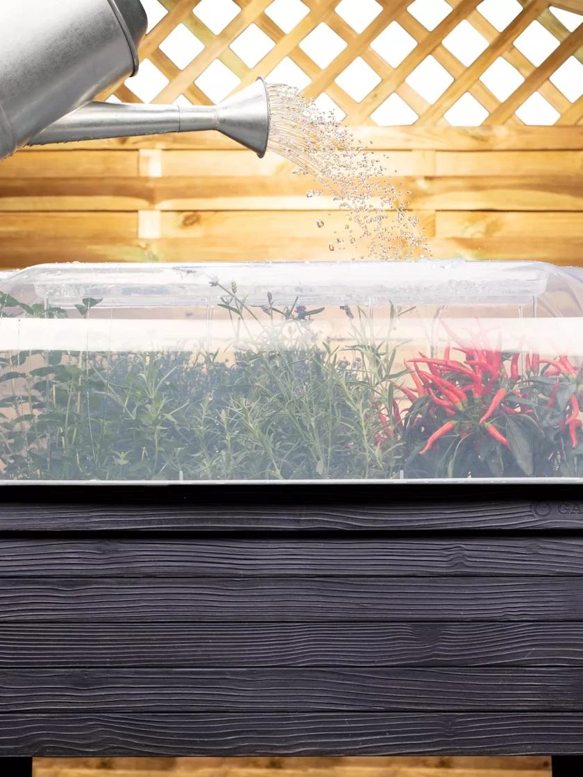 Urban Balcony Elevated Planter Cloche 3 Urban Balcony Elevated Planter Cloche