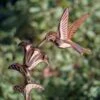 Hummingbird Cottage Copper Weathervane With Roof Mount -Optimal Garden Care 8600377 03v hummingbird cottage weathervane roof mount