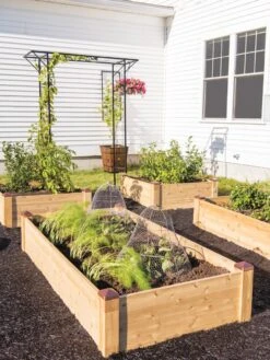 Copper Cap Raised Beds -Optimal Garden Care 8600497 0530 tif