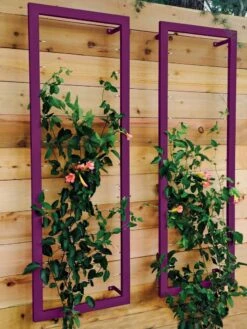 Ina Modern Wall Trellis Sr. -Optimal Garden Care 8600510 02V tif