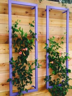 Ina Modern Wall Trellis Sr. -Optimal Garden Care 8600510 07V tif