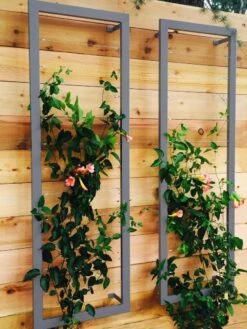 Ina Modern Wall Trellis Sr. -Optimal Garden Care 8600510 08V jpg