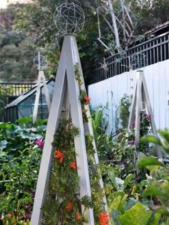 Akoris Garden Tuteur Jr. -Optimal Garden Care 8600517 07V tif