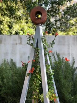 Bird Cafe + Akoris Garden Tuteur Jr. -Optimal Garden Care 8600525 07v