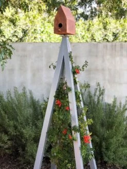 Bird Bungalow + Akoris Garden Tuteur Jr. -Optimal Garden Care 8600541 07v 1