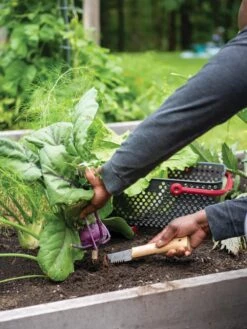 Gardener's Lifetime Hori Hori Knife -Optimal Garden Care 8608888 0422 tif