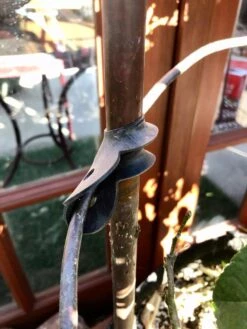 Garden Cane Connects, Set Of 6 -Optimal Garden Care 8609019 03V tif