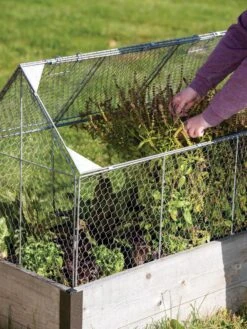 Chicken Wire Crop Coop -Optimal Garden Care 8609080 0187