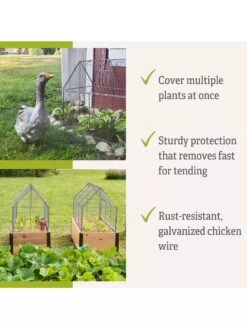 Chicken Wire Crop Coop -Optimal Garden Care 8609080 2