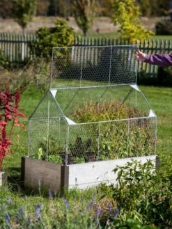 Chicken Wire Crop Coop -Optimal Garden Care 8609080 4024