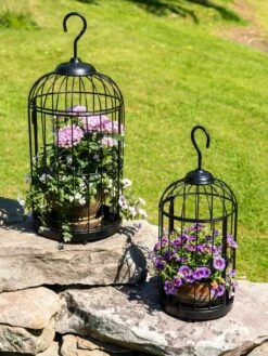 Hanging Birdcage Planter Set -Optimal Garden Care 8609181 0374 tif