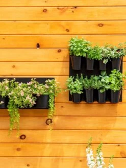 8 Pot Metal Wall Planter -Optimal Garden Care 8609195 6250 tif