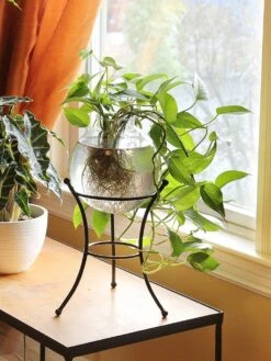 Achla Designs Multi Use Stand -Optimal Garden Care 8609343 01v achla designs multi use stand