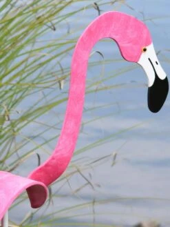 Florida Dancing Birds®, Flamingos -Optimal Garden Care 8609442HP 02V jpg