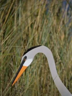 Florida Dancing Birds®, Great Blue Heron -Optimal Garden Care 8609451 03V jpg