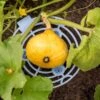 Melon And Squash Cradles, Set Of 6 -Optimal Garden Care 8609464 0235 tif