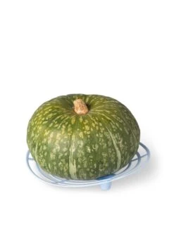 Melon And Squash Cradles, Set Of 6 -Optimal Garden Care 8609464 5204 tif