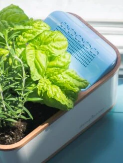 Dewplanter -Optimal Garden Care 8609512 04V