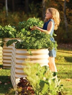 Birdies™ Modular Metal Raised Bed, Tall -Optimal Garden Care 8610174 05010 tif