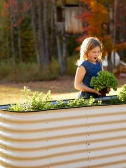 Birdies™ Modular Metal Raised Bed, Tall -Optimal Garden Care 8610174 5015 tif