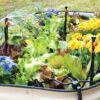 Raised Bed Bubblers Irrigation Kit -Optimal Garden Care 8610220 1172 tif
