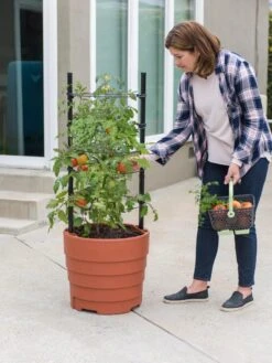 Gardener’s Victory Self-Watering Planter Garden Kit -Optimal Garden Care 8610239 06002 tif