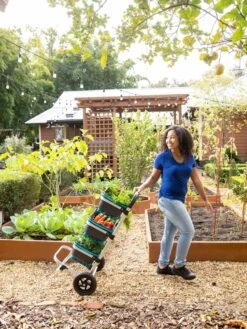 Mod Hod Trolley With Teal Mod Hods -Optimal Garden Care 8610240 0070 tif