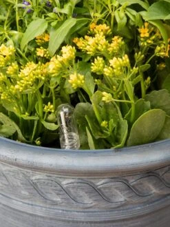 Adjustable Self-Watering Insert For Pots And Planters -Optimal Garden Care 8610250 0010 tif