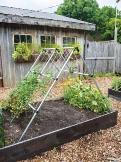 Connector Kit For DIY A Frame Plant Support -Optimal Garden Care 8610366 0783