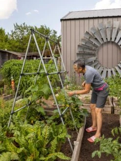 Connector Kit For DIY A Frame Plant Support -Optimal Garden Care 8610366 7584 tif