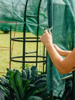 Maxi Garden Hoops With Clips -Optimal Garden Care 8610372 368 tif