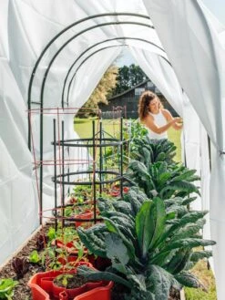 Maxi Garden Hoops With Clips -Optimal Garden Care 8610373 377 tif