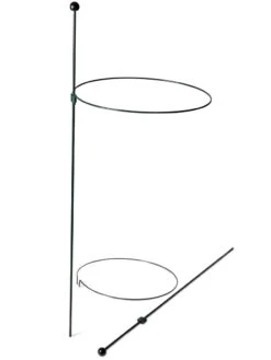 Peacock Classic Plant Support Rings 15", Set Of 2 -Optimal Garden Care 8610384 9562 tif