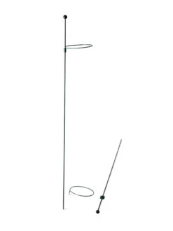 Peacock Mini Plant Support Rings 4", Set Of 2 14 Peacock Mini Plant Support Rings 4", Set Of 2 -Optimal Garden Care 8610386 9566