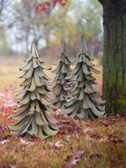 Desert Steel Blue Atlas Cedar -Optimal Garden Care 8610550 07v