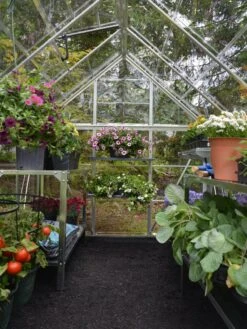 Canopia® By Palram Harmony™ Greenhouse, 6' X 14' -Optimal Garden Care 8610563 03V jpg