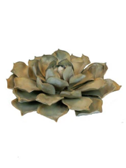 Desert Steel Blue Rose Succulent Sculpture -Optimal Garden Care 8610763 01v desert steel blue rose succulent small
