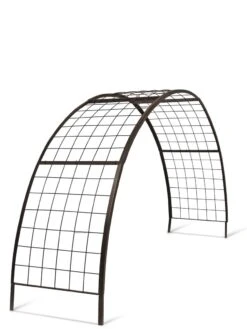 2’ X 8’ Arch Trellis For Planter Boxes -Optimal Garden Care 8610798 0812 tif