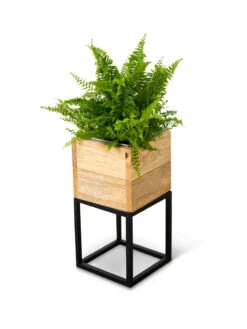 Tartu Elevated Square Planters -Optimal Garden Care 8611004 038