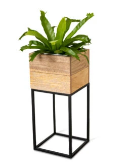 Tartu Elevated Square Planters -Optimal Garden Care 8611005 036