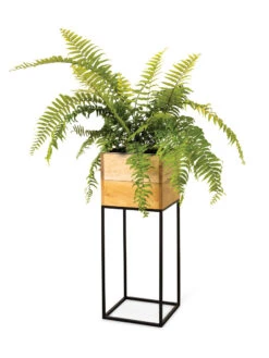 Tartu Elevated Square Planters -Optimal Garden Care 8611006 033