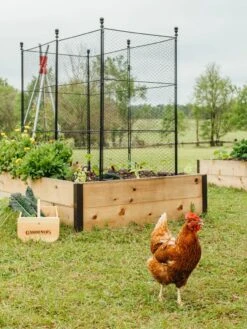 Tall Chicken Wire Critter Fence With Gate -Optimal Garden Care 8611020 316 tif