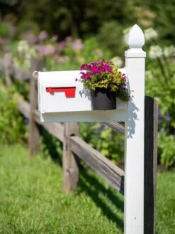 Mailbox Planter -Optimal Garden Care 8611026 014 tif